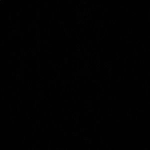 Meet your Posher, Paige